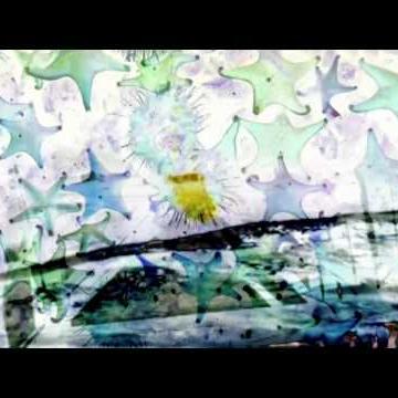 wFZpQV2gw_o