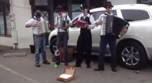 Accordion to Us At the Cotati Accordion Festival