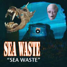 The SEA WASTE Saga